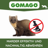 Marder effektiv und nachhaltig abwehren.